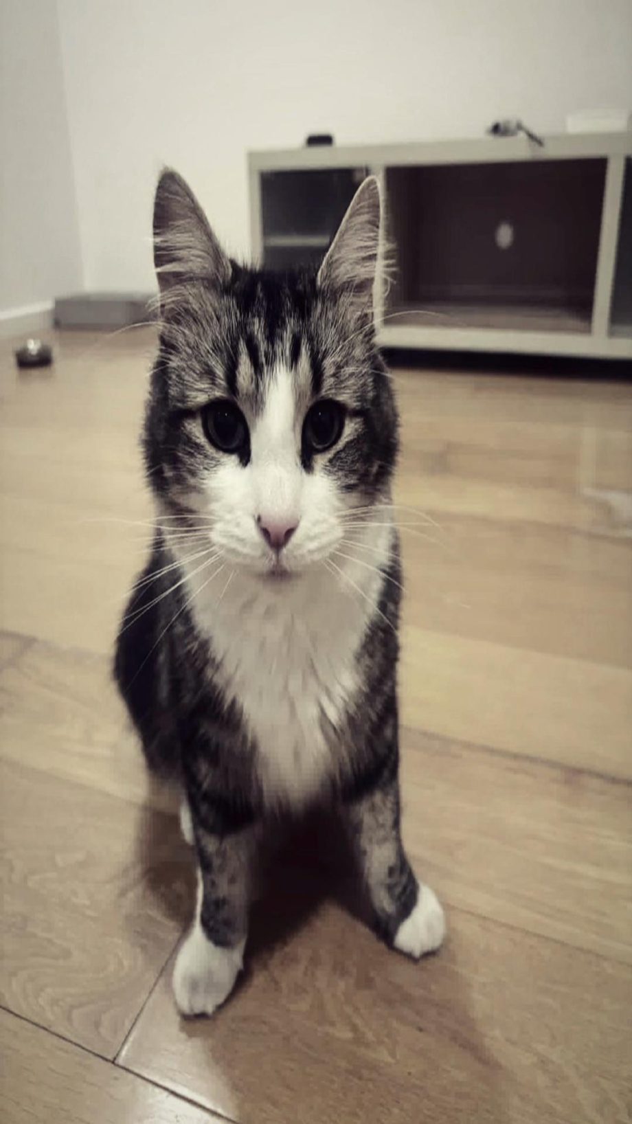 People On TikTok People On TikTok