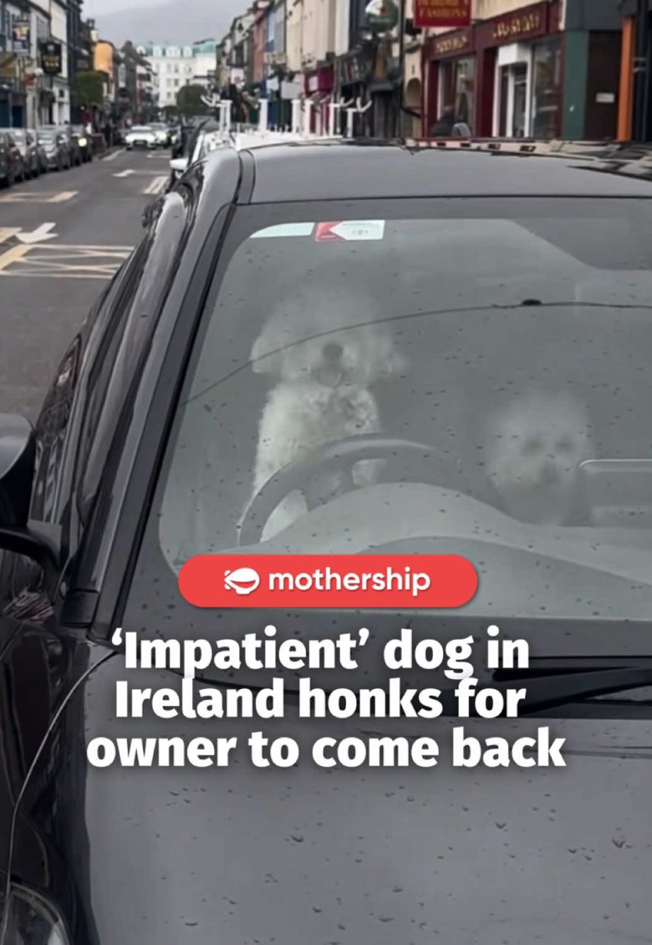 @mothershipsg if only i had a honk everytime my mom left me alone at the superma…