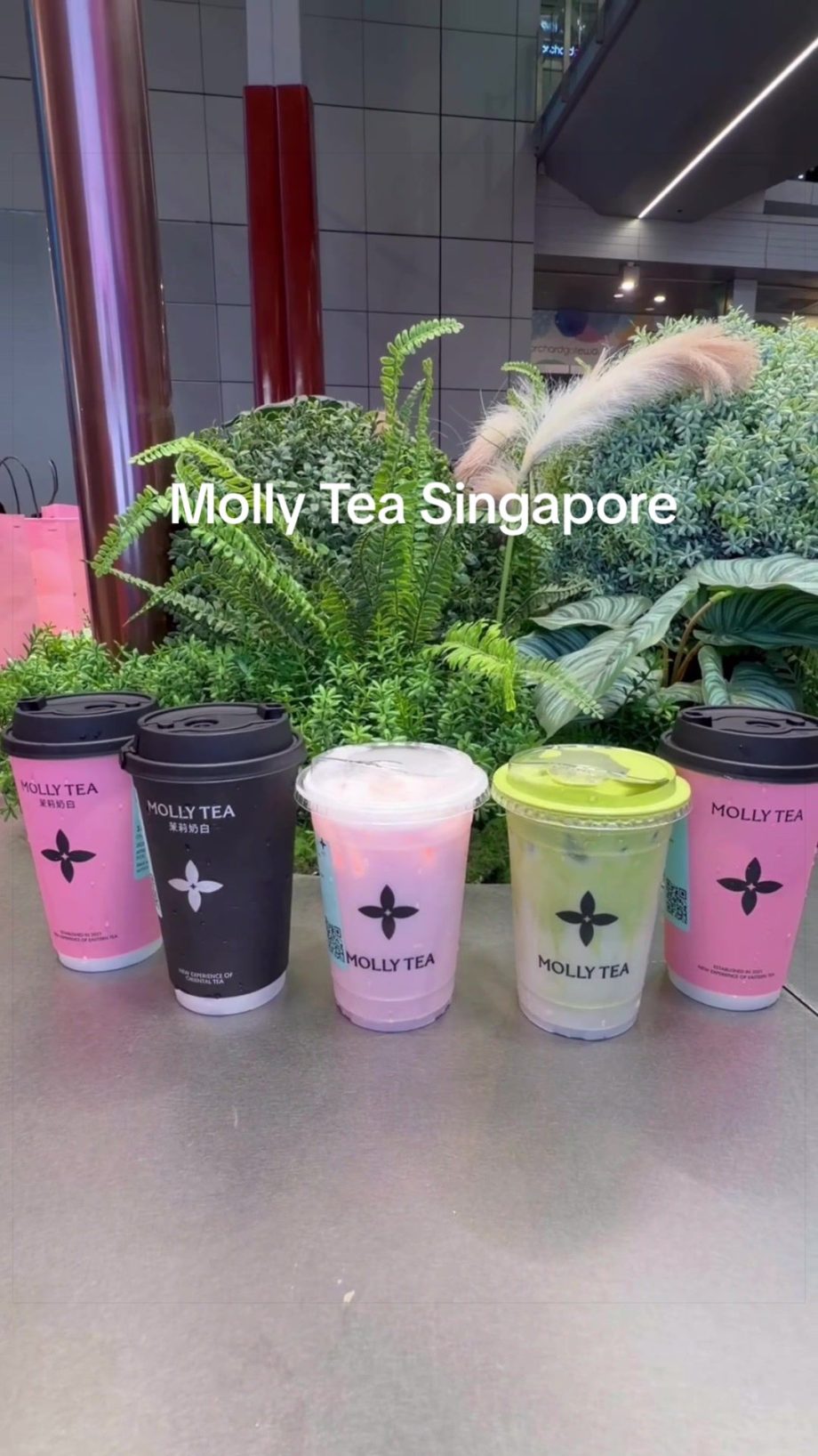 @jxeats still long queue, packaging is so cute!  #mollytea #bubbletea #sgfoodie …