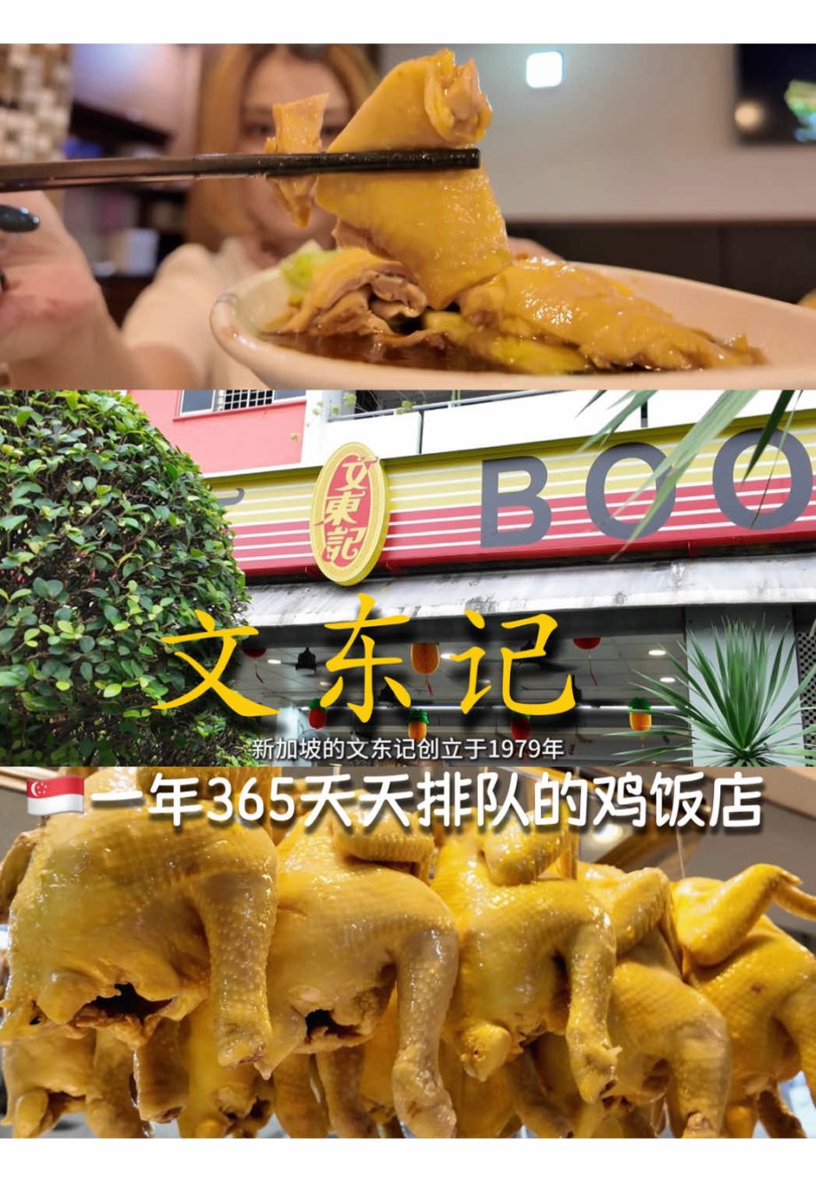 @jollyfish888 文东记鸡饭的美味多说一个字都是我对它的不尊重，因为无需要任何语言表达，你就吃吧！#sg #sgtiktok #sgfoodie #c…