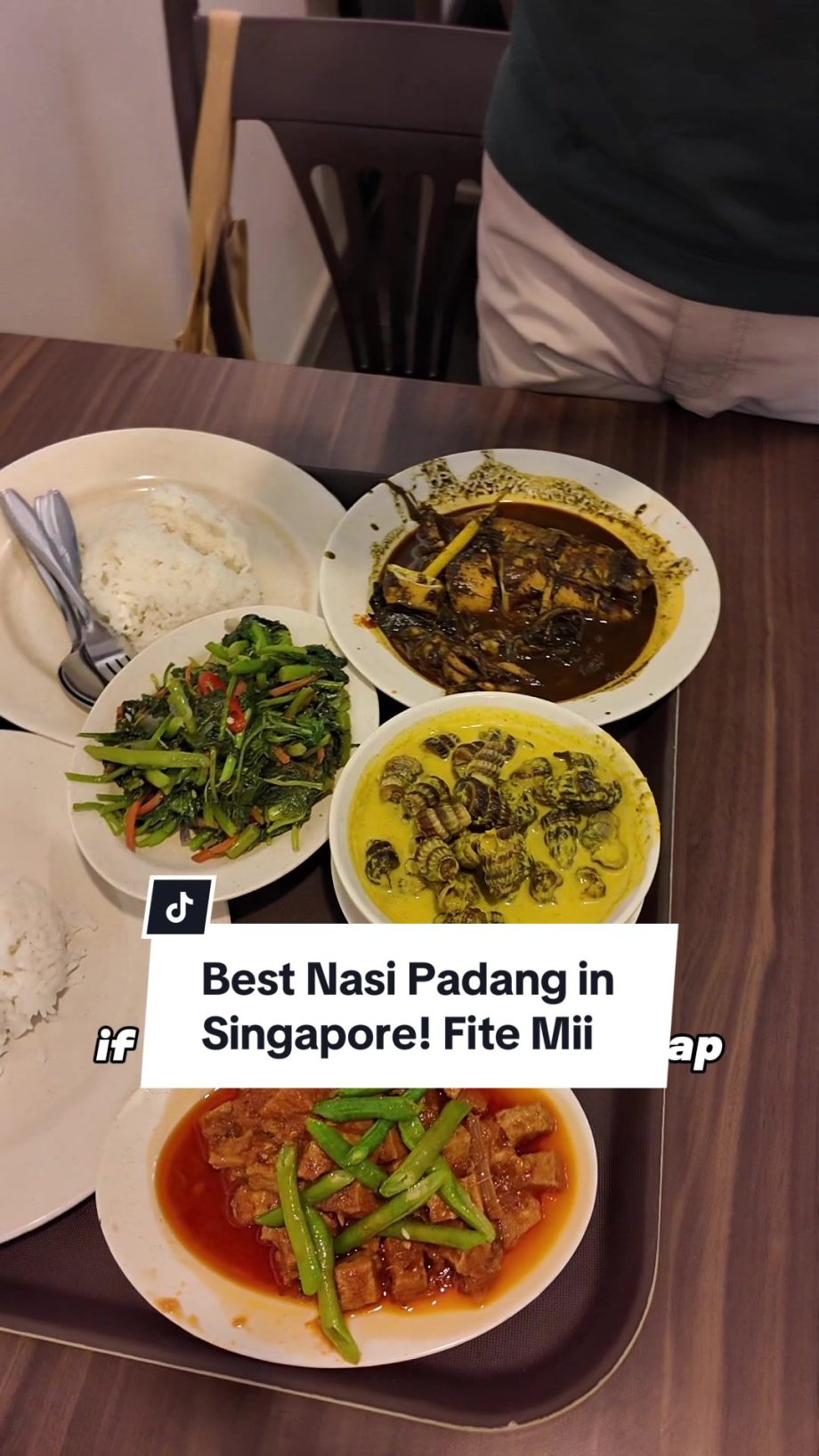 @iamfallingfeathers Best Nasi Padang in Singapore! Fite Mii / 11 Jln Pisang #nas…