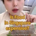 @mylilymind Is food in Singapore expensive? #travel #foodie #fyp  …