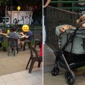 Diner raises hygiene concerns after spotting dogs in stroller at S’pore hawker centre, netizens defend pet owners