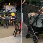 Diner raises hygiene concerns after spotting dogs in stroller at S’pore hawker centre, netizens defend pet owners