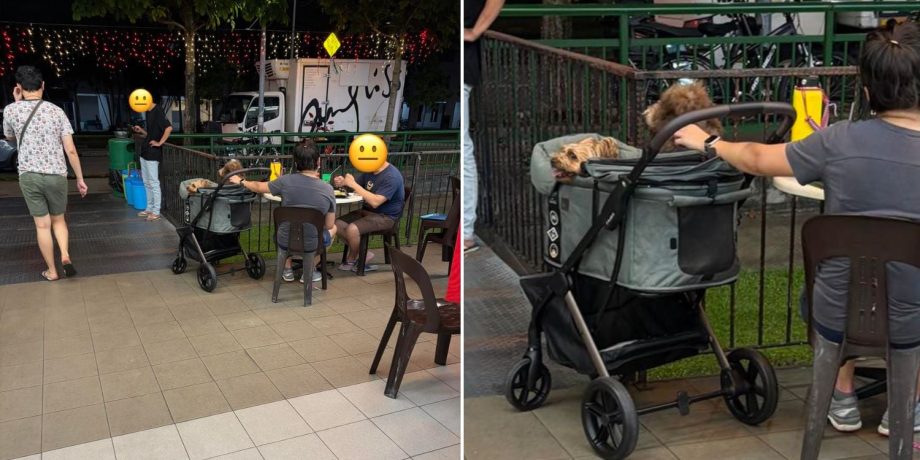 Diner raises hygiene concerns after spotting dogs in stroller at S’pore hawker centre, netizens defend pet owners