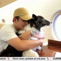 Singapore-based airline offers cabin flights for animals at a premium