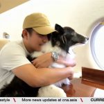 Singapore-based airline offers cabin flights for animals at a premium
