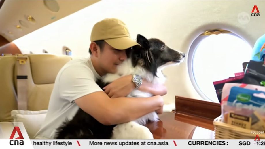 Singapore-based airline offers cabin flights for animals at a premium