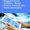 Airway Catheters Market in Singapore | Report – IndexBox