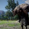 Crimson Desert Players Gets Platinum Trophy After 305 Hours
