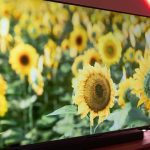 Save Nearly 50% Off the Massive 75″ TCL QM6K 4K Google TV