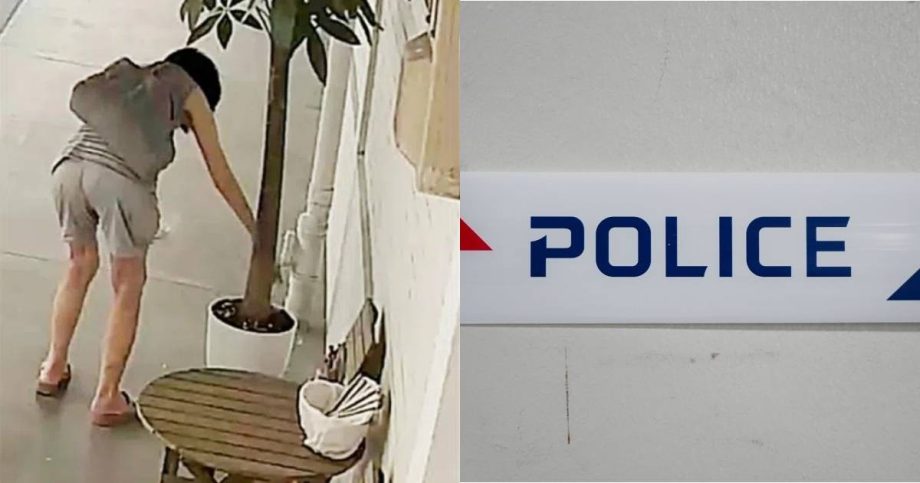 Yishun resident files police report after woman allegedly dumps flyers, sugar in plant pot, Singapore News