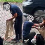 Tugged, tossed into van: Acres files report over alleged wild rooster mistreatment, Singapore News