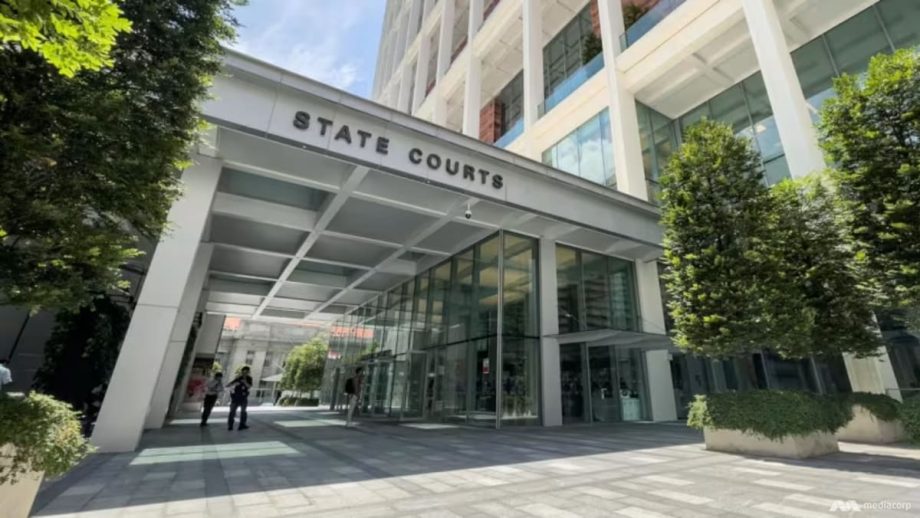 Former CEO of defunct crypto platform Hodlnaut charged over ‘misleading’ statements