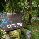 25 years of ACRES: Local charity continues wildlife rescue efforts with eye on expansion