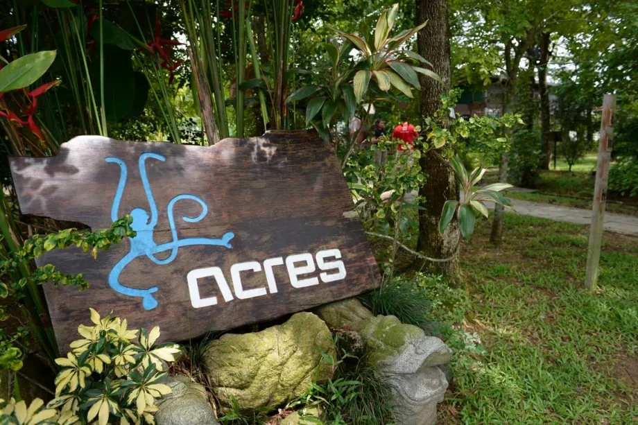 25 years of ACRES: Local charity continues wildlife rescue efforts with eye on expansion