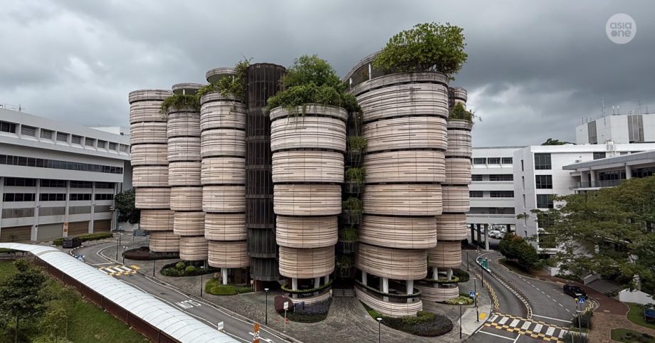 Singapore university fee guide 2026: What’s the damage and how to finance them, Lifestyle News Singapore university fee guide 2026: What’s the damage and how to finance them, Lifestyle News