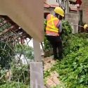 Heavy rain causes tree branches to snap, damaging roof of home in Yio Chu Kang, Singapore News