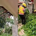 Heavy rain causes tree branches to snap, damaging roof of home in Yio Chu Kang, Singapore News