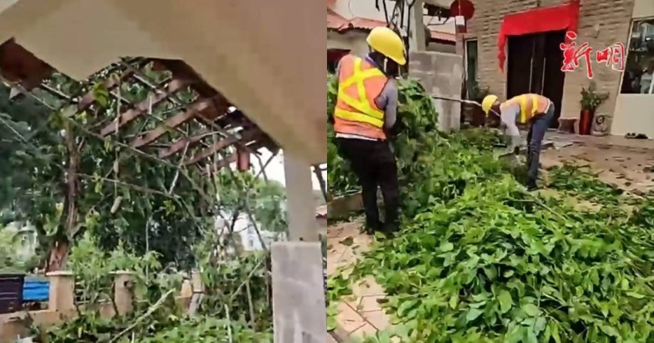 Heavy rain causes tree branches to snap, damaging roof of home in Yio Chu Kang, Singapore News