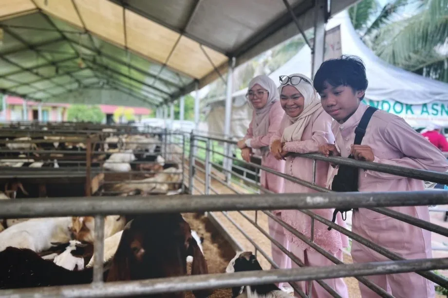 More S’porean Muslims head to Johor for korban