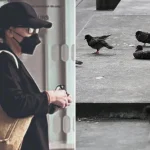 Woman fined for feeding pigeons seeks leniency