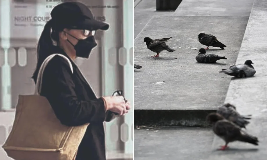 Woman fined for feeding pigeons seeks leniency Woman fined for feeding pigeons seeks leniency