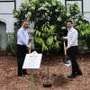 Singapore Vietnam ties symbolised by tree planting