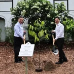 Singapore Vietnam ties symbolised by tree planting