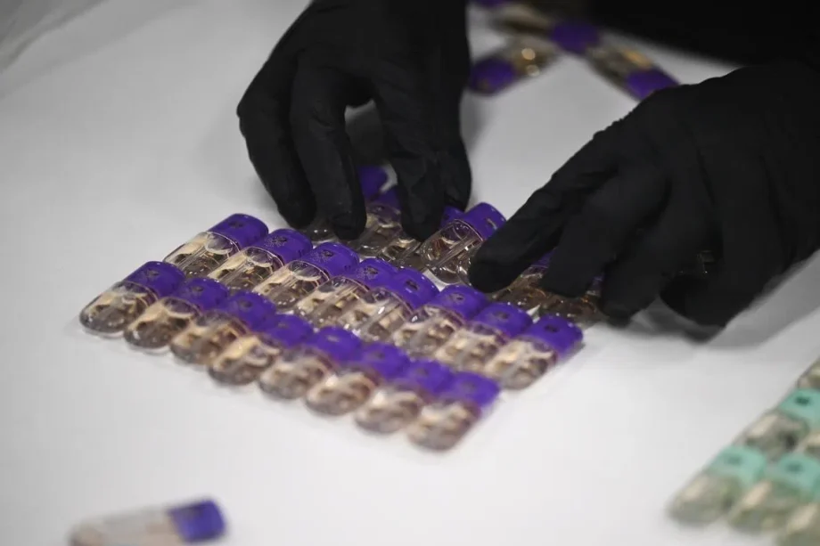 Half of traffic accidents involving suspected drug or etomidate use from 2023 to 2025 were fatal Half of traffic accidents involving suspected drug or etomidate use from 2023 to 2025 were fatal