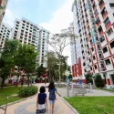 Govt piloting different ways of engaging citizens for neighbourhood renewal in Boon Lay, Canberra