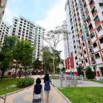 Govt piloting different ways of engaging citizens for neighbourhood renewal in Boon Lay, Canberra