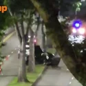 Driver, 56, dies after Jaguar crashes into tree and ‘splits in two’ in Clementi