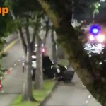 Driver, 56, dies after Jaguar crashes into tree and ‘splits in two’ in Clementi