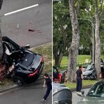 56-year-old male driver dies after Jaguar crashes into tree in Clementi