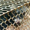 Mystery of disappearing bananas solved: Family catches civet cat instead of rat in trap