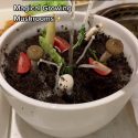 @snaptasterepeat #tiktoksg #fyp #foryoupage #sgtiktok #foryou #sgfoodie #sgfoodi…