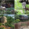 Rainforest Wild Adventure at Mandai fully open