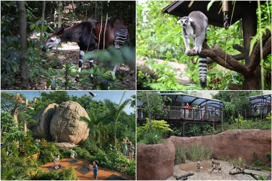 Rainforest Wild Adventure at Mandai fully open