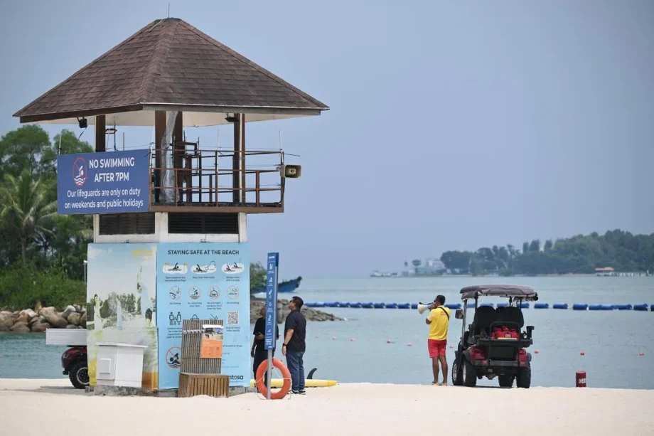 Crocodile spotted in waters off Sentosa Cove caught and euthanised