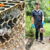Nurse’s family thinks home is haunted after bananas go missing — then discovers ‘thief’ in rat trap