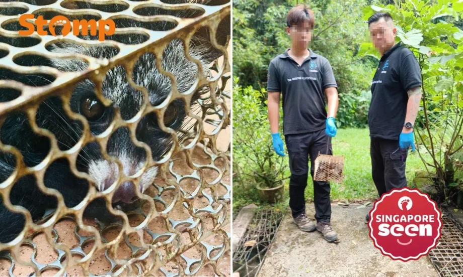 Nurse’s family thinks home is haunted after bananas go missing — then discovers ‘thief’ in rat trap