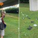 Woman feeding pigeons in CCK allegedly flashes middle finger at man who tries to stop her, police report filed