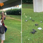 Woman feeding pigeons in CCK allegedly flashes middle finger at man who tries to stop her, police report filed