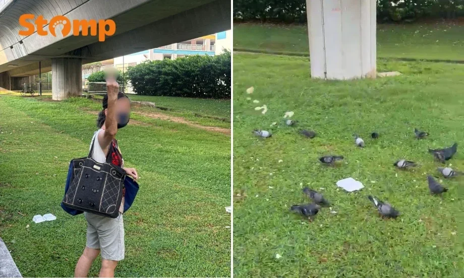 Woman feeding pigeons in CCK allegedly flashes middle finger at man who tries to stop her, police report filed