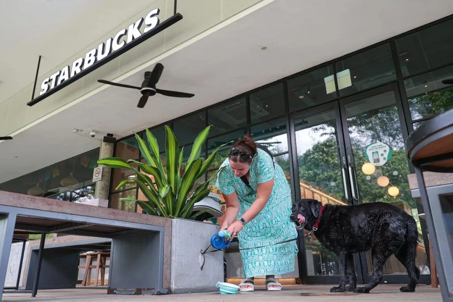 Starbucks told by MUIS to remove or amend signs referring to halal certification