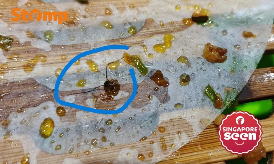 Family ‘shocked into stunned silence’ after allegedly finding ‘cockroach head’ in Scarlett Supermarket’s pork bun Family ‘shocked into stunned silence’ after allegedly finding ‘cockroach head’ in Scarlett Supermarket’s pork bun