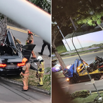 Driver dies as Jaguar wraps around tree after 2-car accident in Clementi, Singapore News