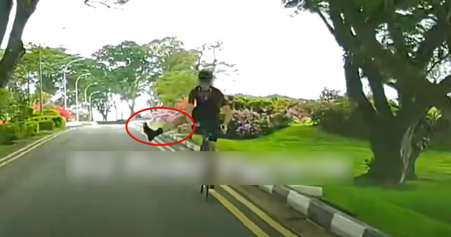 Cyclist seen riding against traffic on ECP service road, sticks out leg at oncoming vehicle, Singapore News