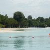 Guided tours of Sentosa’s biodiversity, learning journeys to Jurong Island among more than 1,000 Go Green SG 2026 initiatives, Singapore News